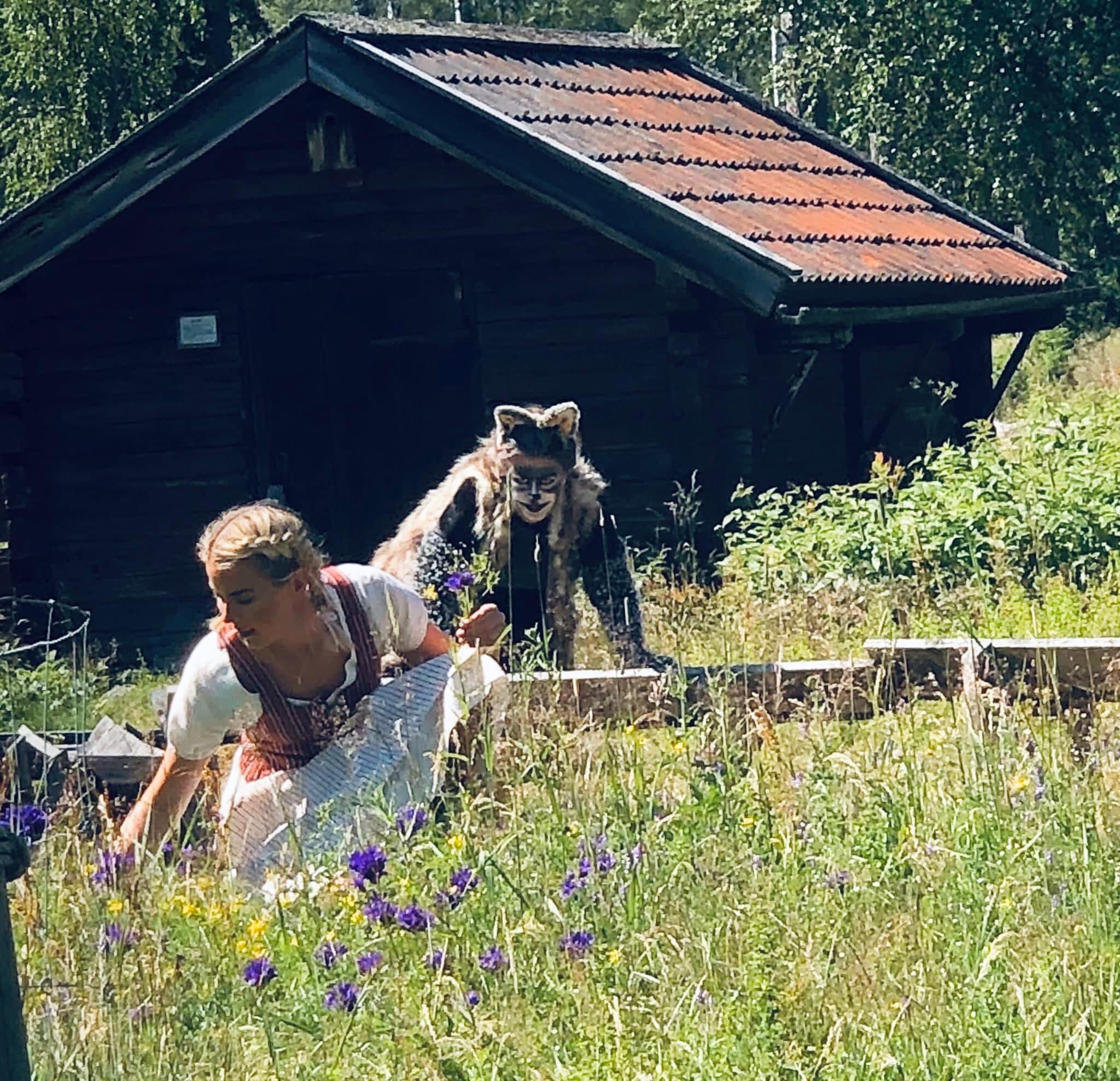 Rödluvan och vargen